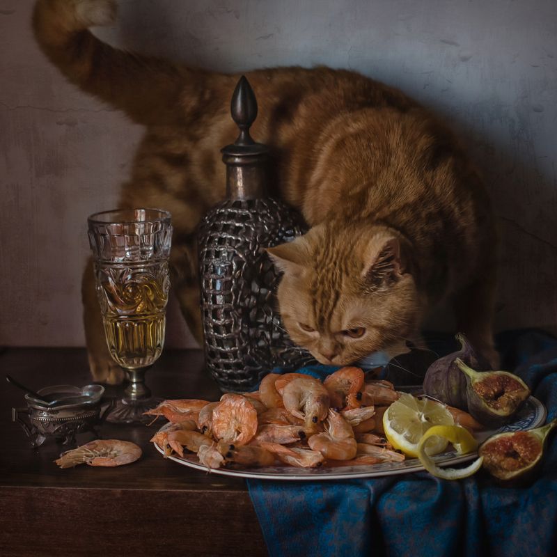животные, кошки, кот, натюрморт, графин, бокал, креветки, инжир, лимон Гурманphoto preview