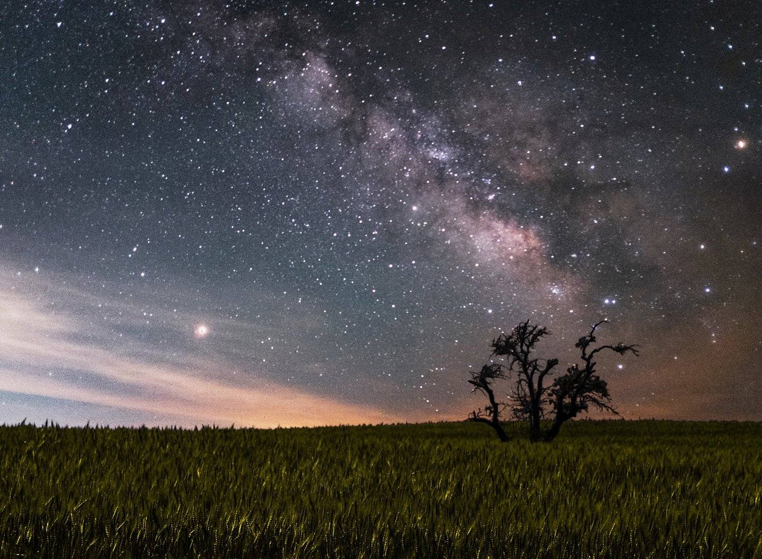 milkyway, Shahriar Dabiri