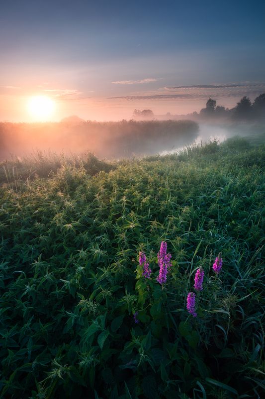 poland podlasie sky clouds sunrise dawn outdoor summer mood fog mist river wildflower Wearing that satine dress of yours...photo preview