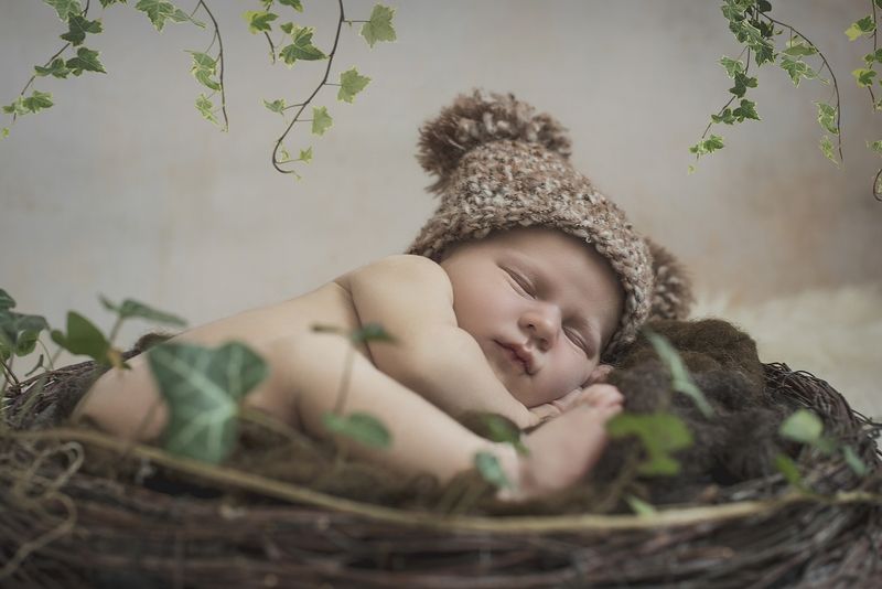 newborn, boy, bear, sleep Szymonphoto preview