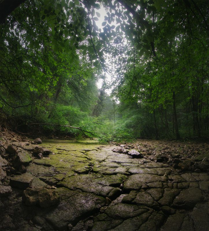 Сухое руслоphoto preview