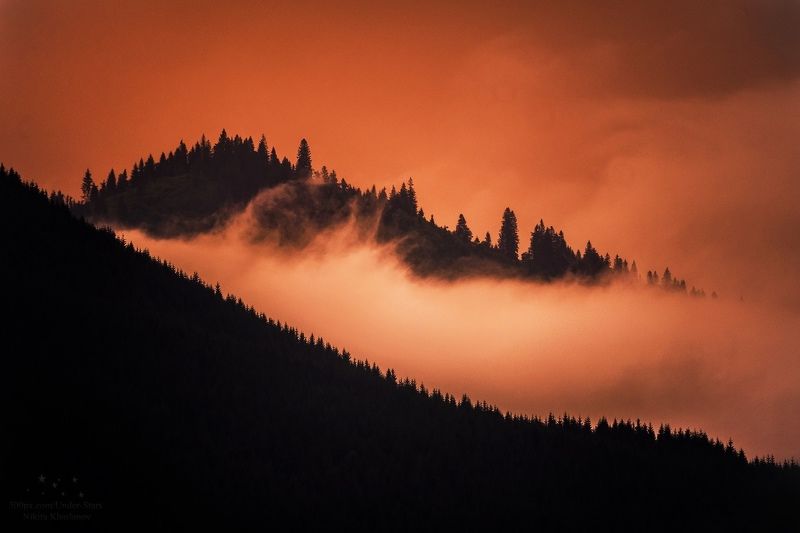 карпаты, рассвет, елки, деревья, силуэты, облака, туман В плену прекрасного мгновенияphoto preview