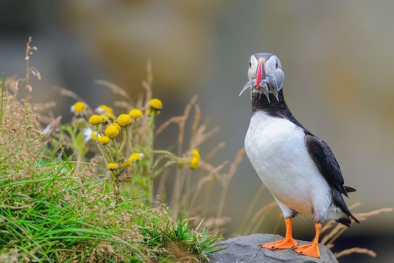 Тупик с удачным уловомphoto preview