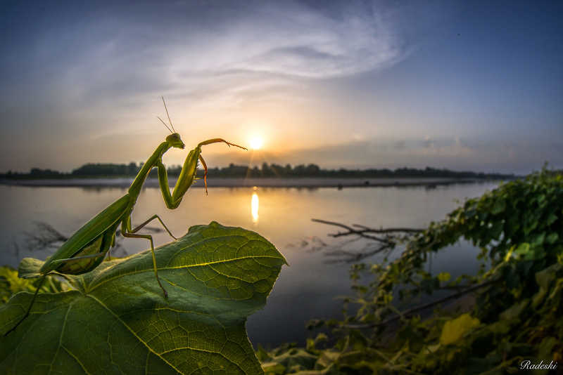 Mi piace la naturaphoto preview