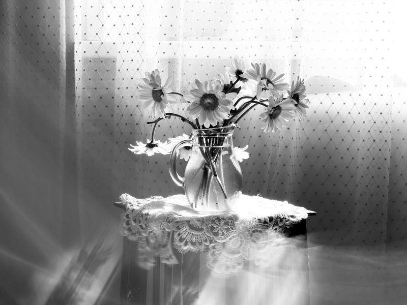 с ромашкамиphoto preview