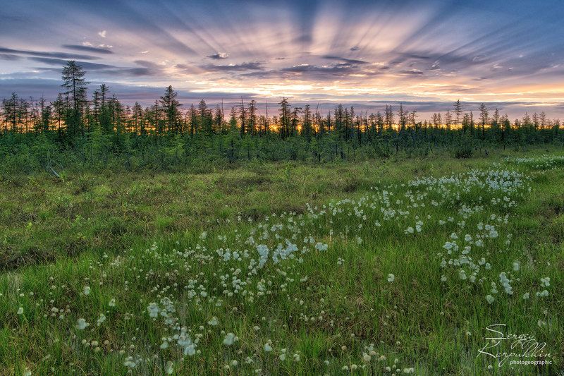 якутия, индигирка Земля и небо фото превью