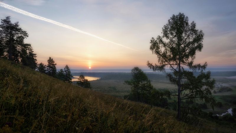 Сибирское утро,рассвет, туман, берег реки,лиственница,восходящее солнце,Siberian morning, dawn, fog, river bank, larch, rising sun *****photo preview