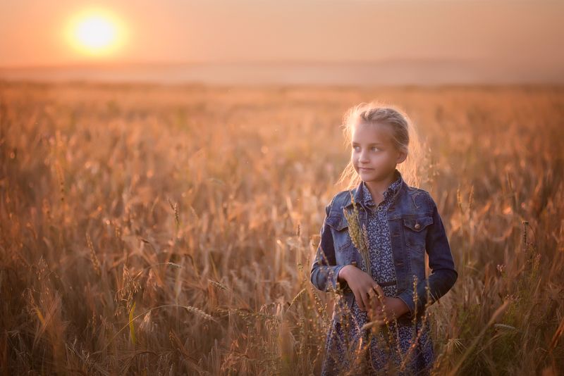 лето, поле, дети, закат Летоphoto preview