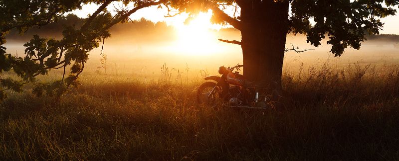 утро, туман, дуб, иж, брянск, алексей платонов, пейзаж,old grandfather izh old grandfather izhphoto preview