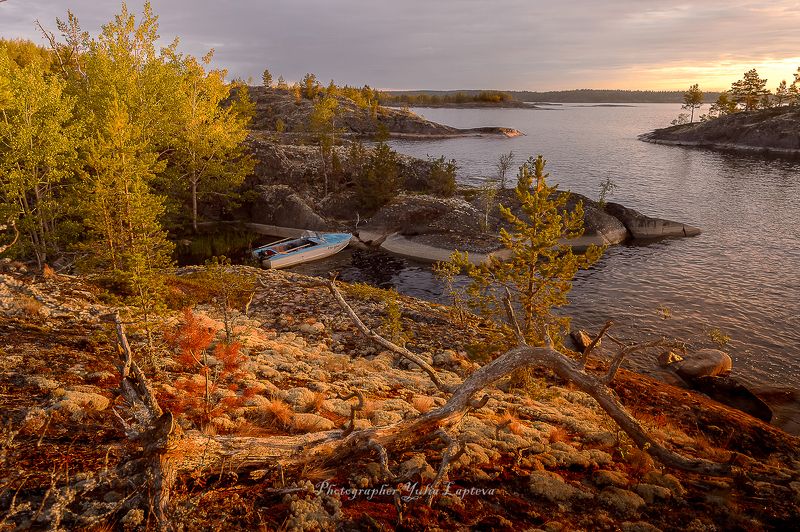 пейзаж,природа,путешествия,ладога,россия,утро,рассвет Очарование Ладогиphoto preview