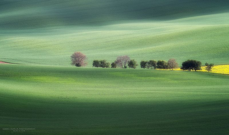 Moravia, trees, meadow, fields, grass, green, hills Caravanphoto preview