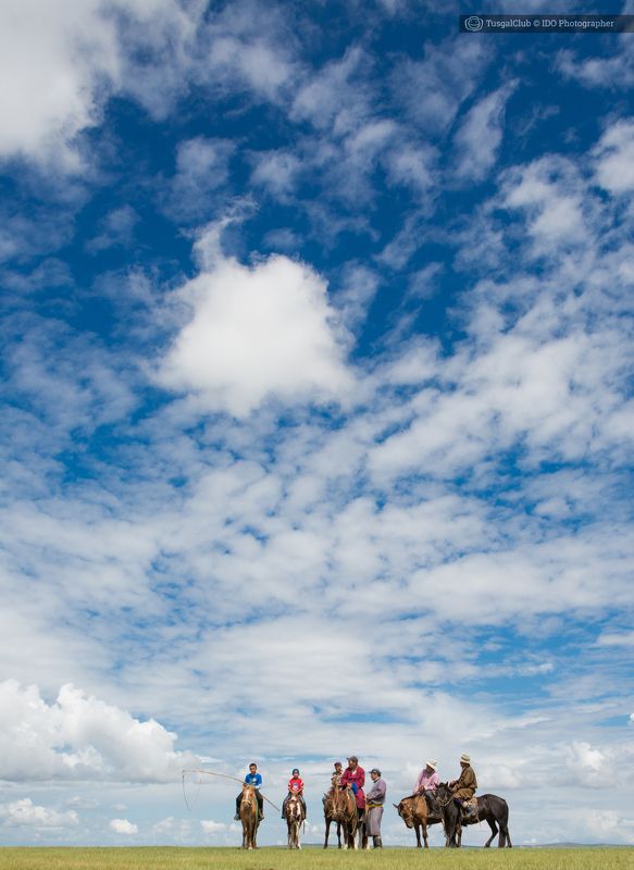 horse wranglerphoto preview