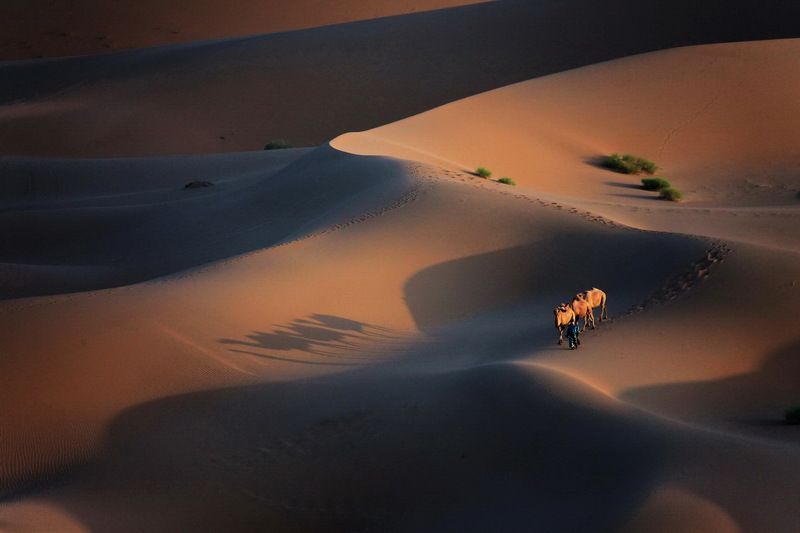 Comeback Homephoto preview