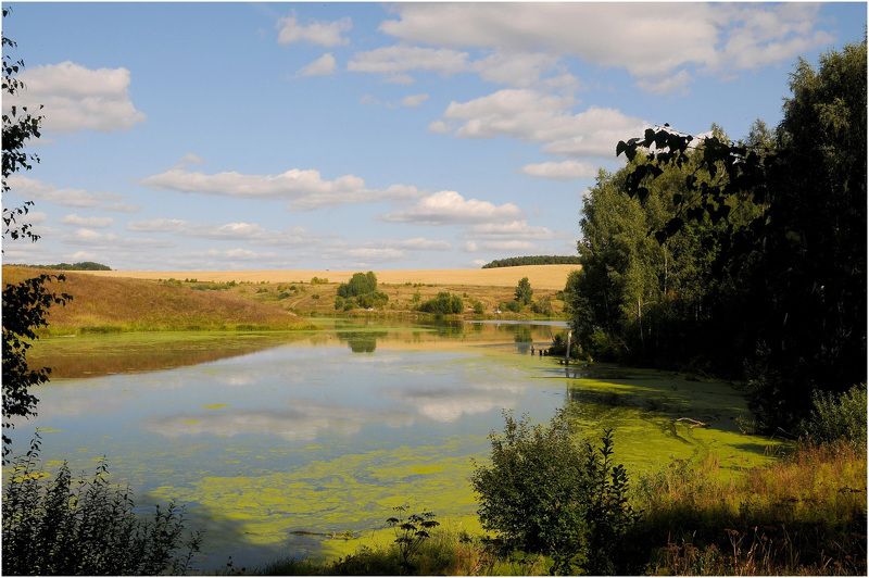 Озеро болото природа Изменившееся озероphoto preview