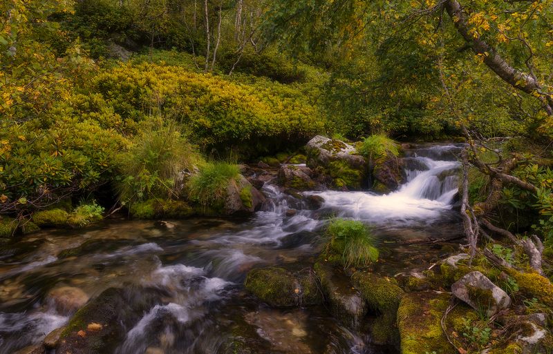 Приближение осениphoto preview