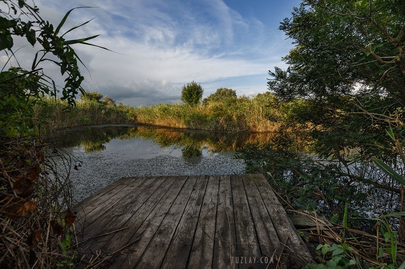 темрюк, таманский полуостров, земля таманская, камыши, водоём Где то в камышах... #3 фото превью
