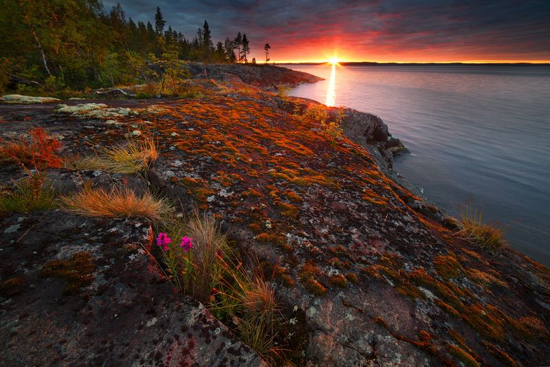 Вечерняя Ладогаphoto preview