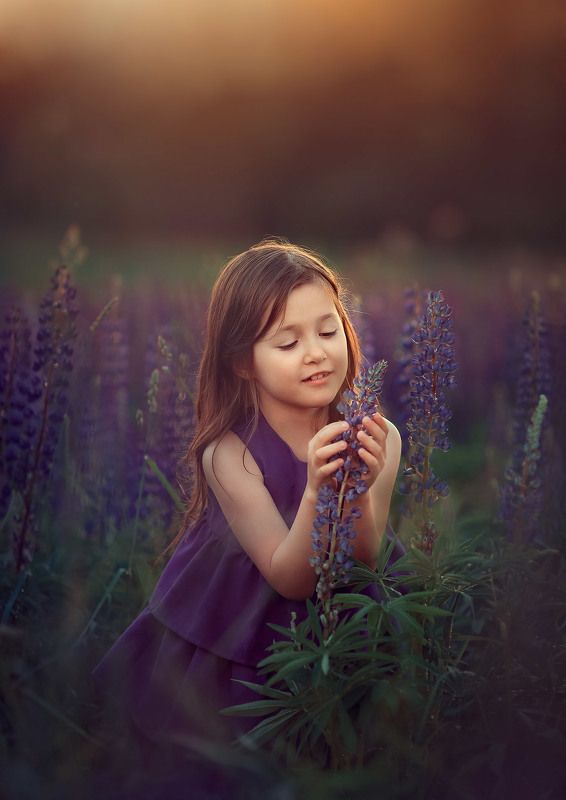 девочка, люпины, детская фотосессия, детский фотограф, портрет Люпиныphoto preview