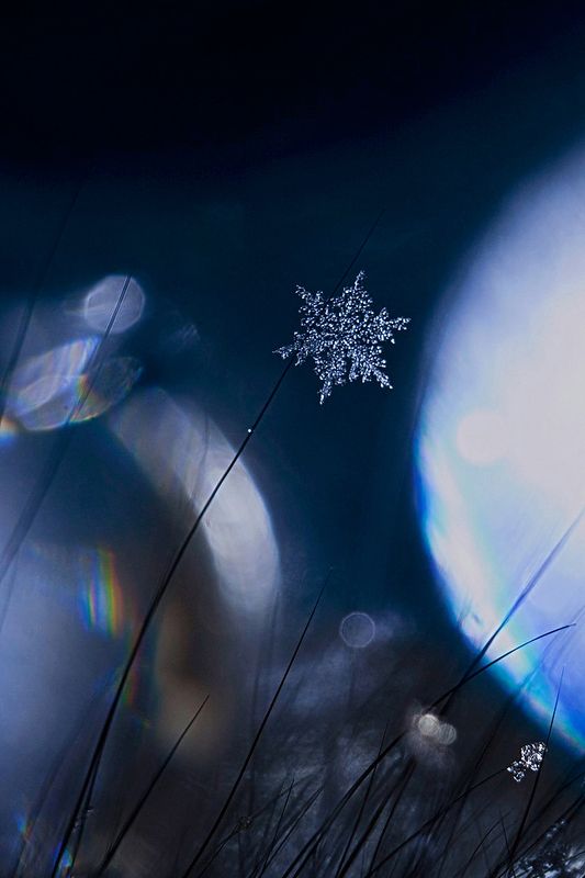 снежинка, зима, макро Одна из снежинок, что падает с небаphoto preview