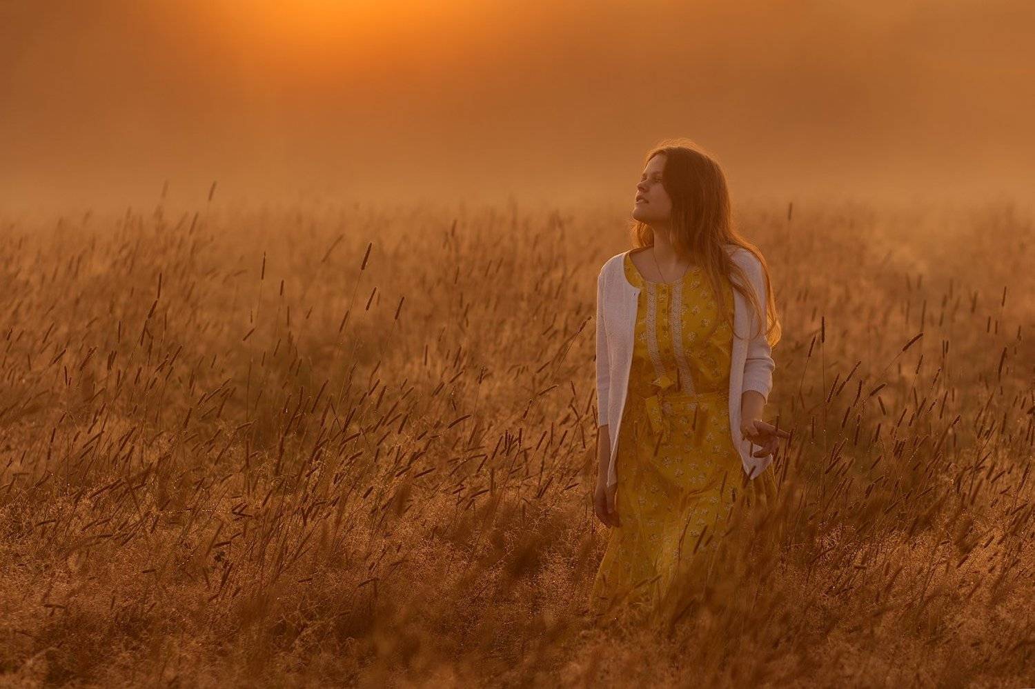 The last dawn of this summer. Автор: Анна Сапегина , Анна Сапегина