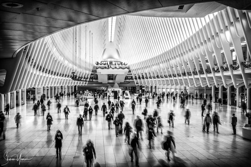 new york, black and white, people, train station Rush hourphoto preview