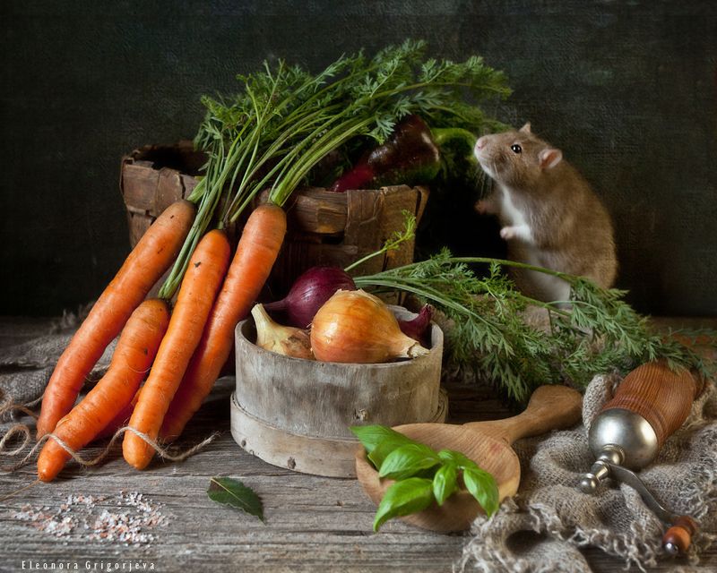 Любитель морковкиphoto preview