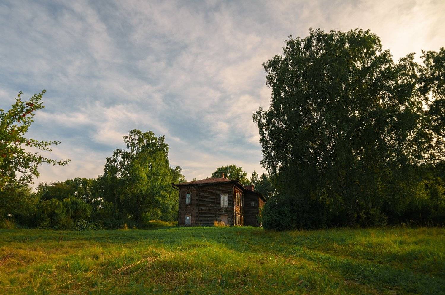 Городской пейзаж-2. Автор: Цвелёв Дмитрий город, лес, Цвелёв Дмитрий