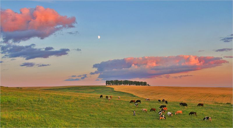 Пасторальphoto preview