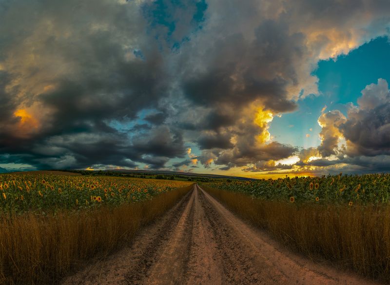 ceclii, nikon d3400, landscape Sunsetphoto preview