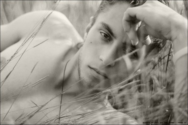 Forget me \\ forget me notphoto preview