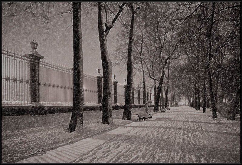 петербург, летний сад, ограда, вечер, снег, дорога Зимний Летний сад фото превью