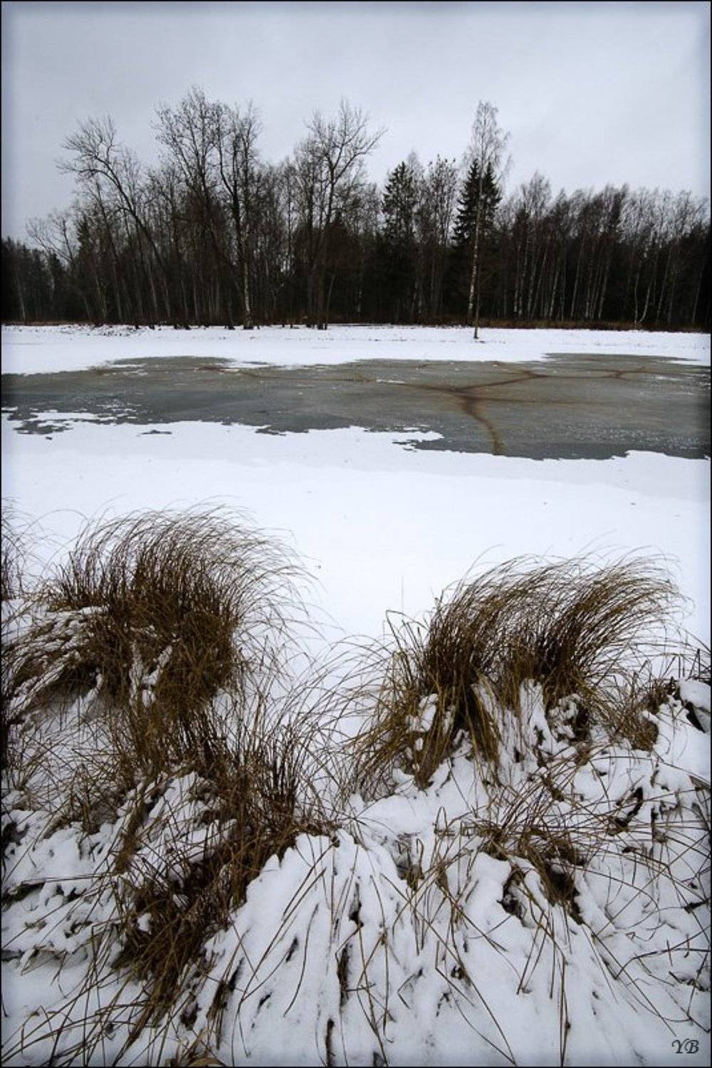 белая гадость.... Автор: Братаев Юра пушкин, александровский парк, Братаев Юра