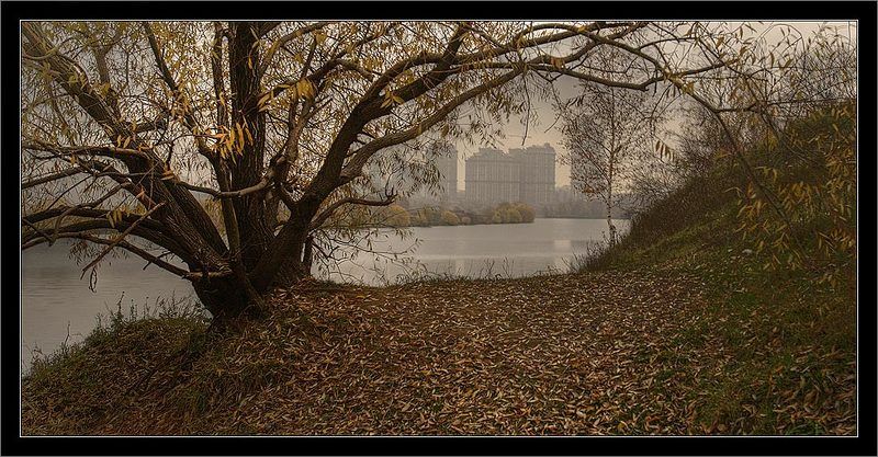 москва строгино парк Городской пейзаж.photo preview
