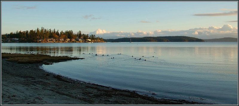 канада, утро, залив, остров, восход солнца, утки, берег, облака Солнце встает!photo preview