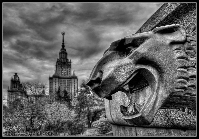 лев, мгу, хдр Lionphoto preview