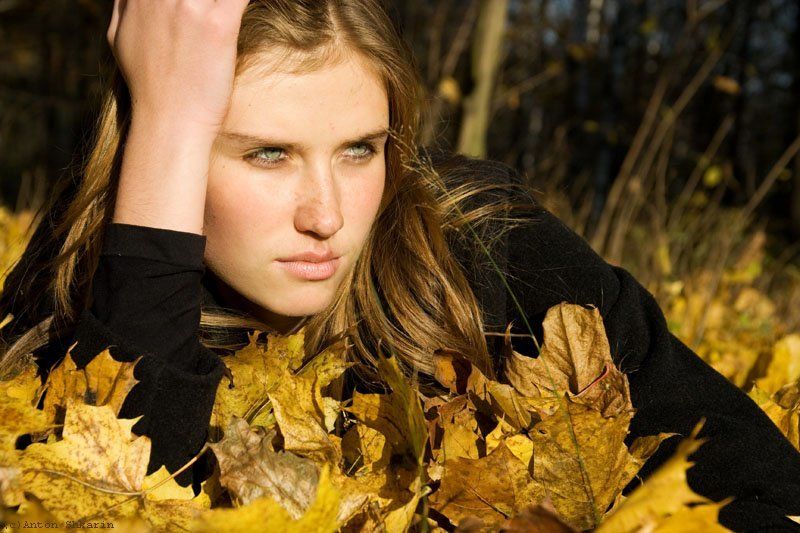 осеньphoto preview