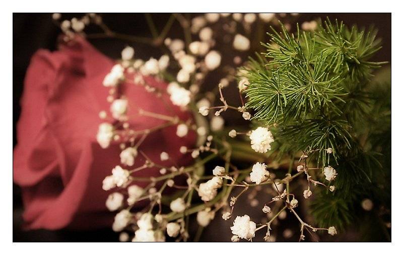 из лета в зиму.... Автор: Lelya роза, лето, гипсофил, осень, елка, зима, Lelya