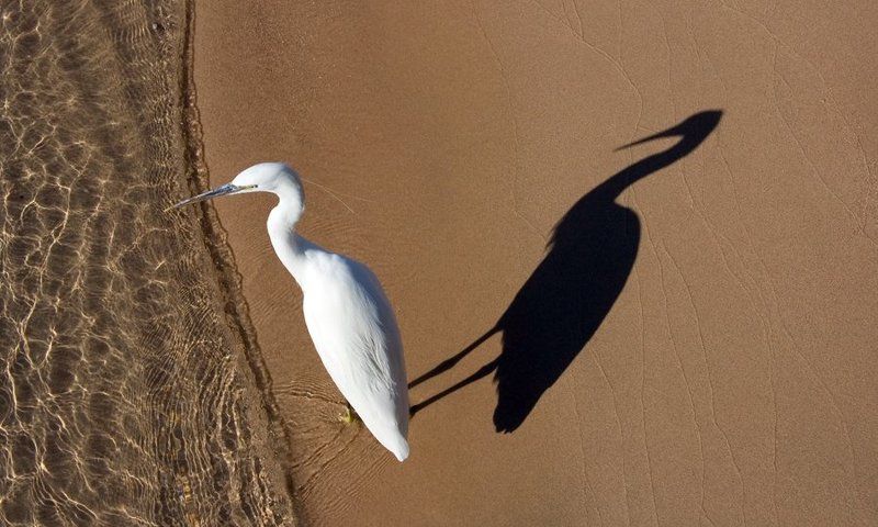 О равновесии фото превью