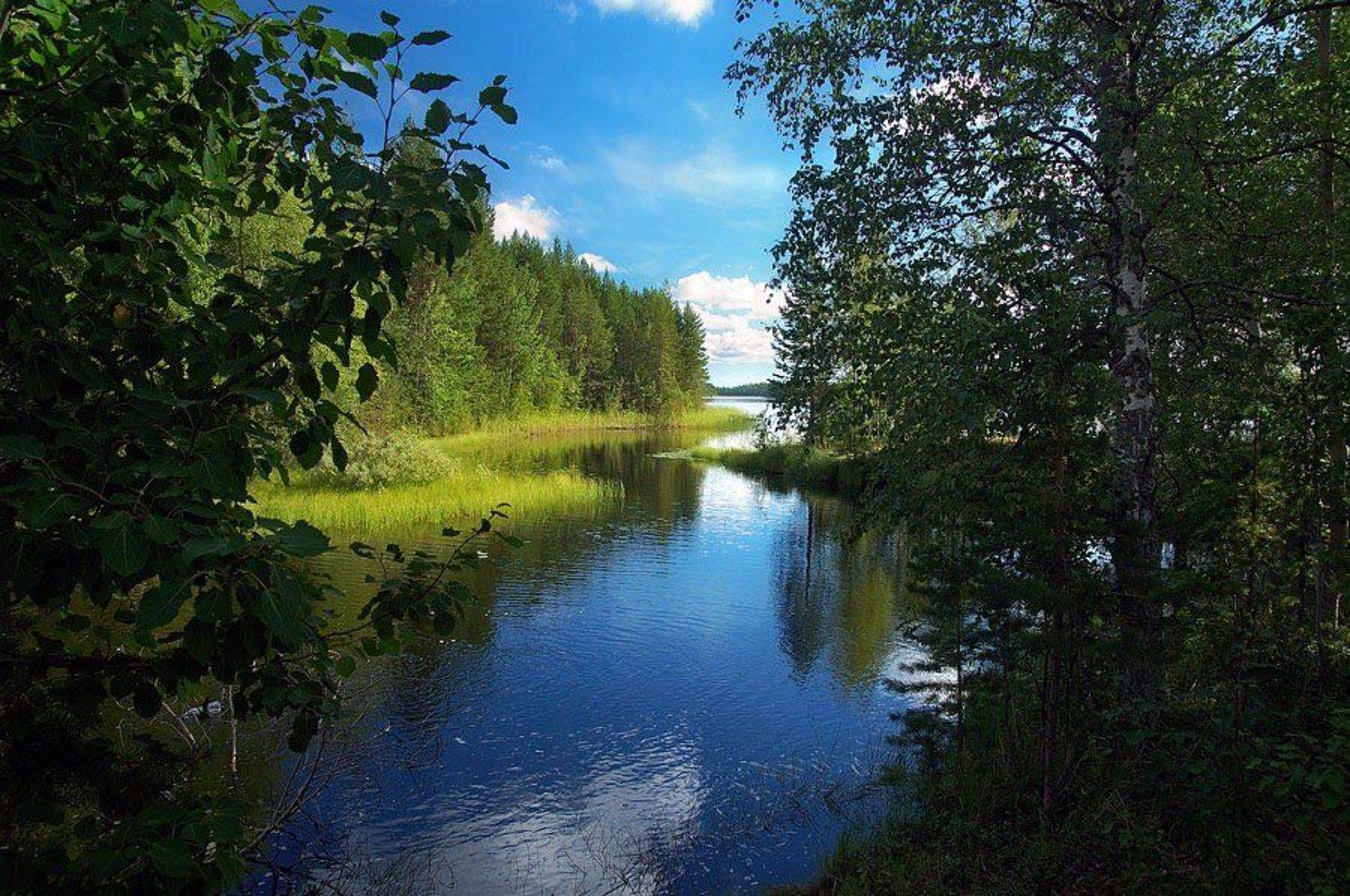 карелия, Dmitriy Egorov