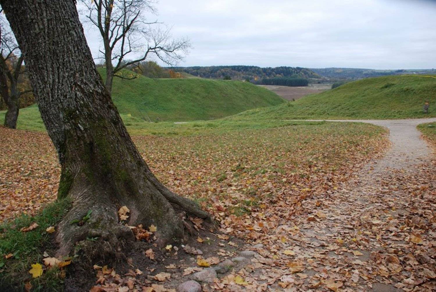 Уходящая в осень.... Автор: Клёпа , Клёпа
