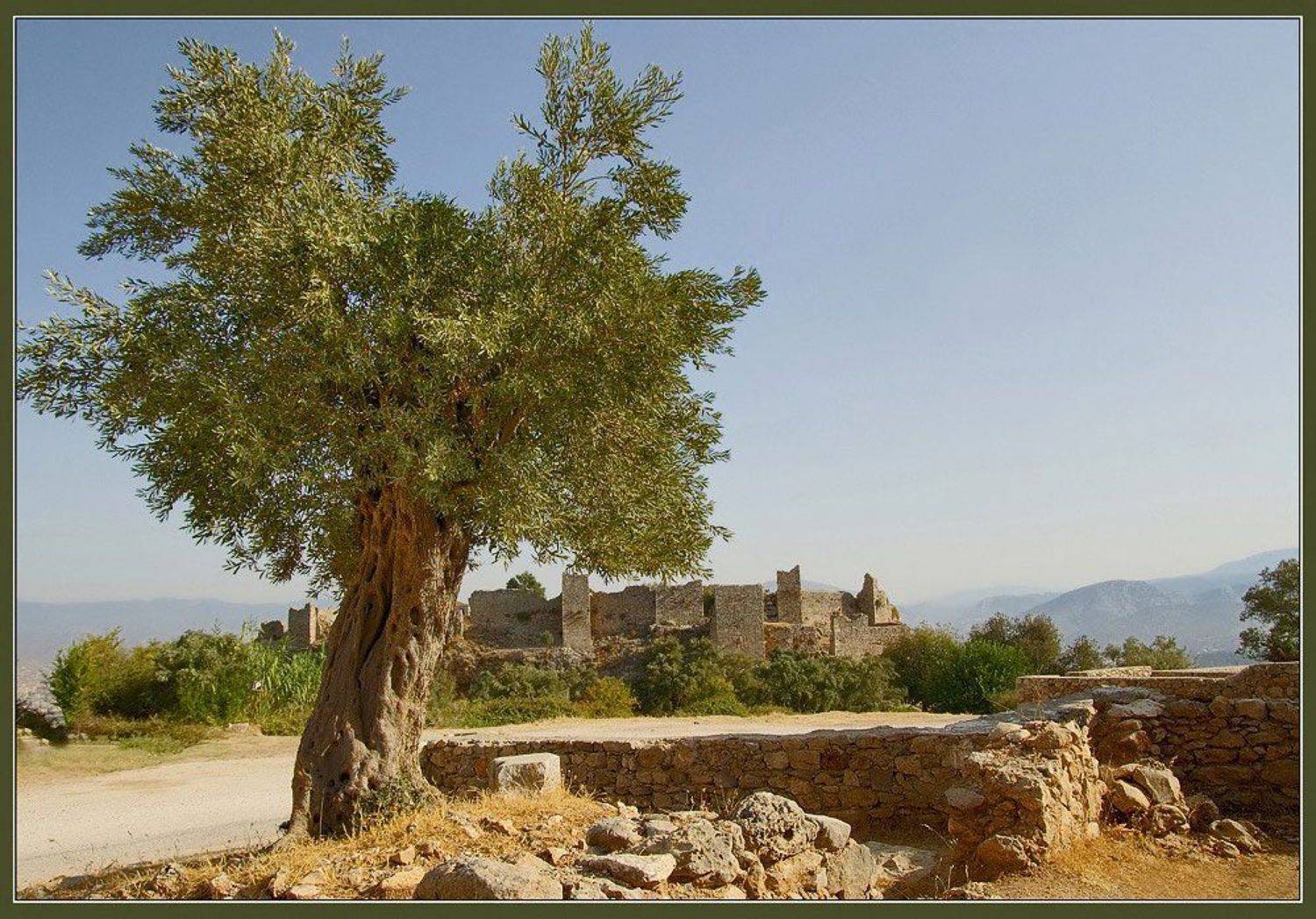 Время и Пространство.. Автор: Евгений Иванюшенко турция, утро, олива, крепость, горы, развалины,, Евгений Иванюшенко