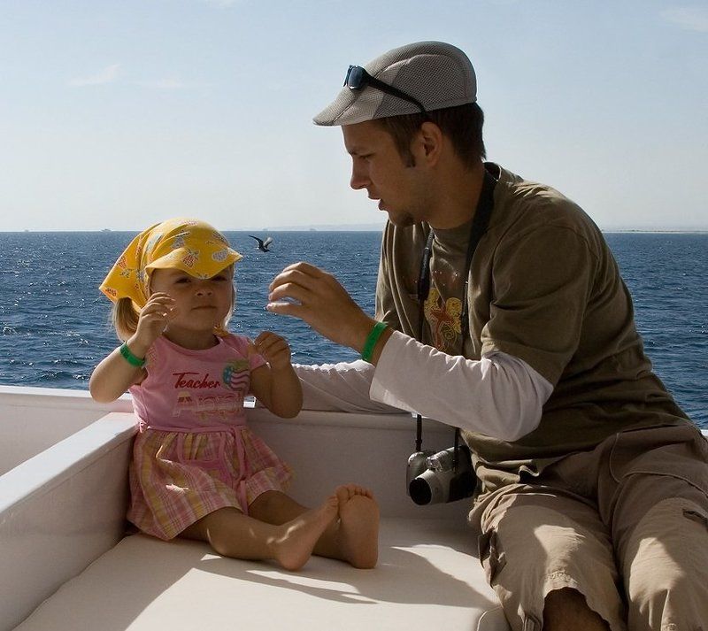 про Чайку, летевшую по своим делам фото превью