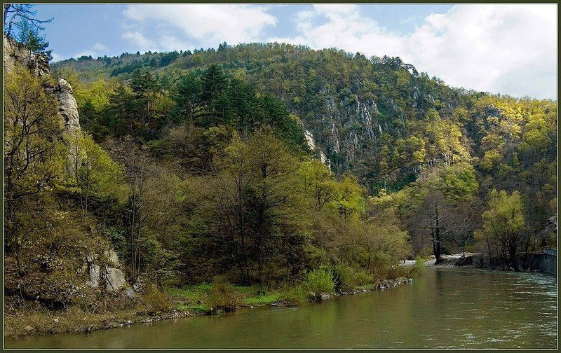 болгария, горы, родопы, весна, река, чепеларска Весна в Родопах.photo preview