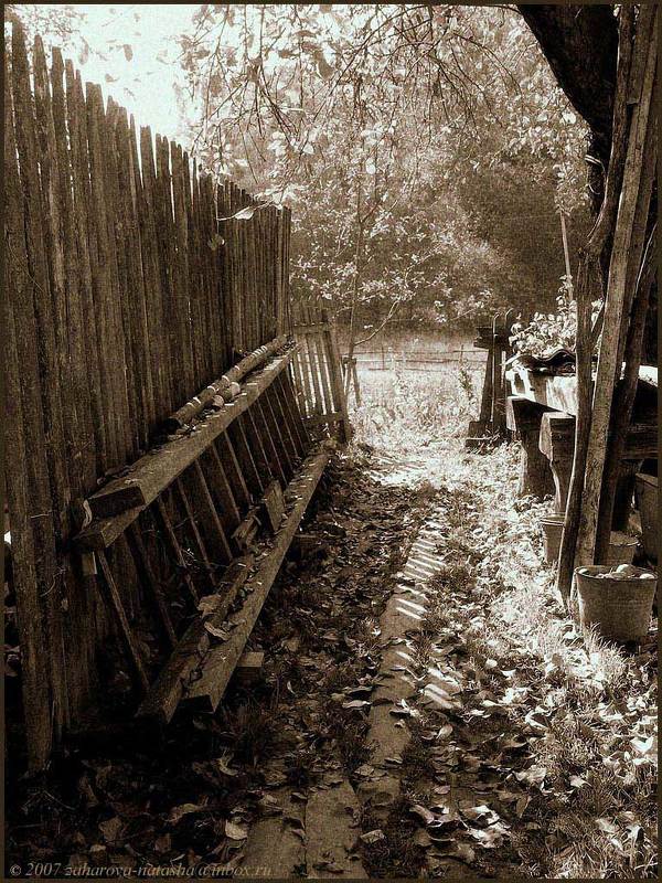 утро, деревня, забор, лестница, юрлово Утро...photo preview