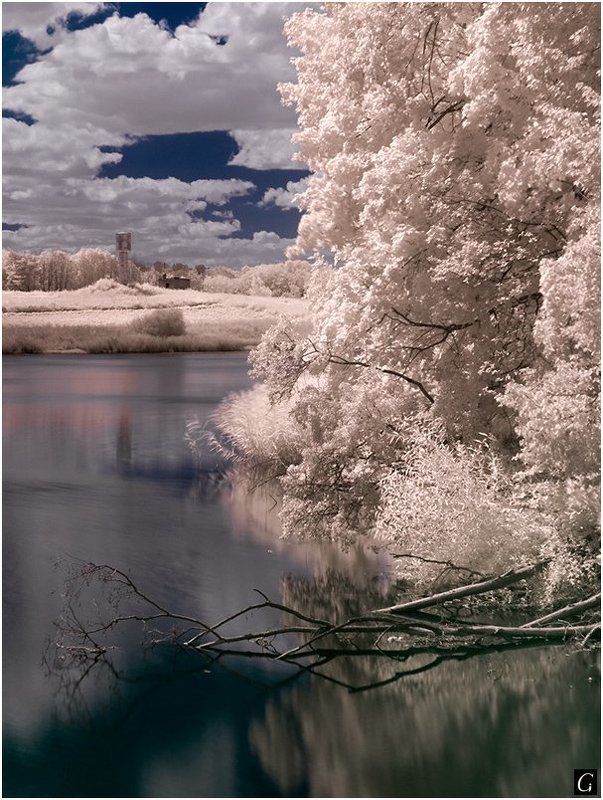 талашкино, инфракрасное этюд в инфракрасном стилеphoto preview