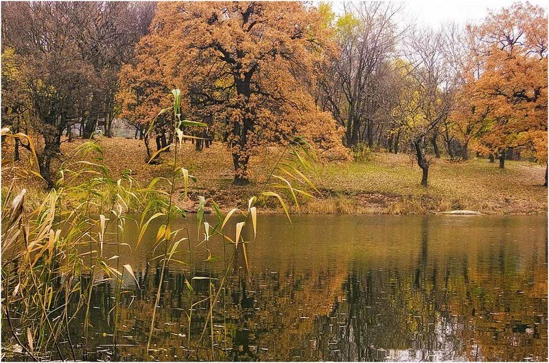 осень, пейзаж, вода, деревья Душевное состояние осениphoto preview