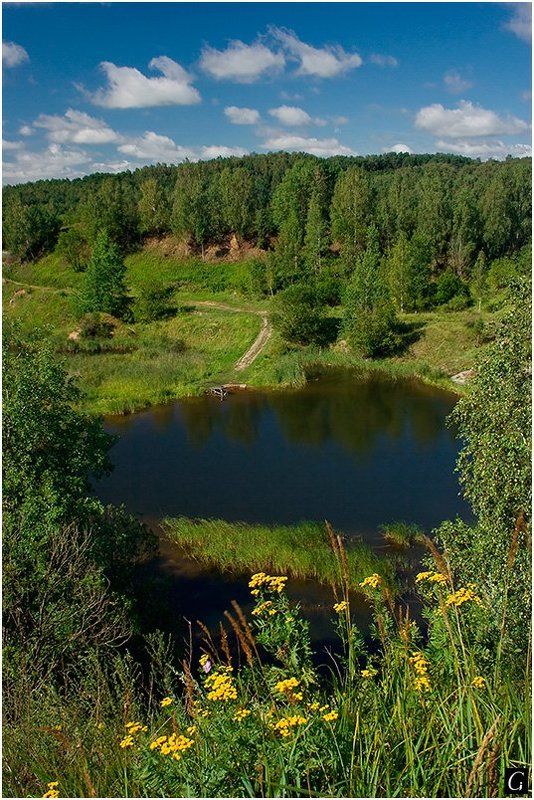 талашкино, лето, озерцо Летняя яркая фотография про маленькое озерцоphoto preview