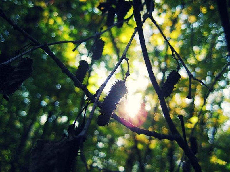 Моменты осениphoto preview