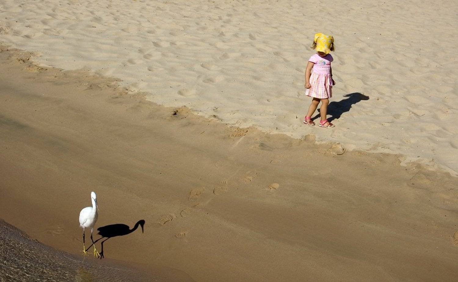 Осторожное знакомство. Автор: Alexey , Alexey