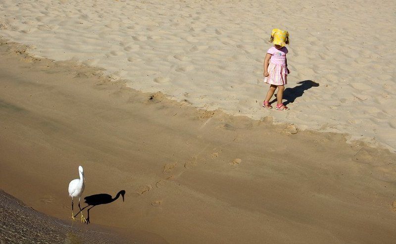 Осторожное знакомство фото превью